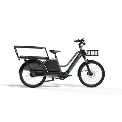 Cargo E-Bike TENWAYS Longtail Duo