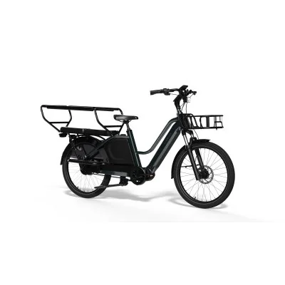E-BIKE CARGO TENWAYS LONGTAIL DUO