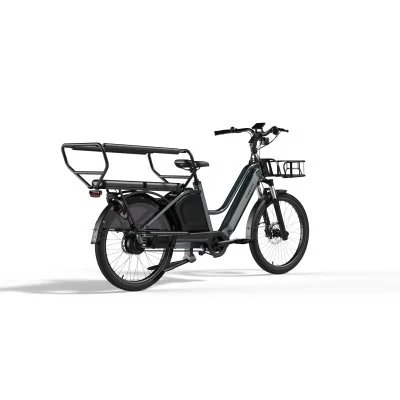 E-BIKE CARGO TENWAYS LONGTAIL DUO