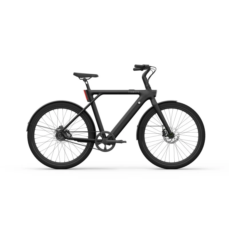 City E-Bike TENWAYS CGO009