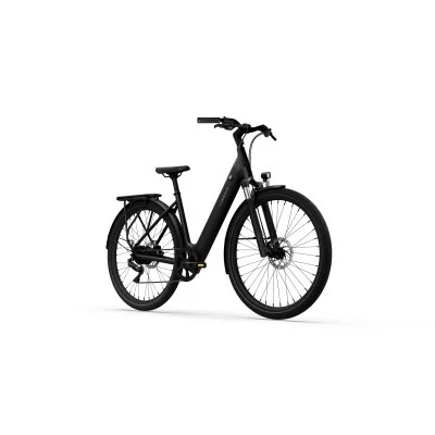 City E-Bike TENWAYS CGO800 PLUS