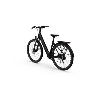 City E-Bike TENWAYS CGO800 PLUS