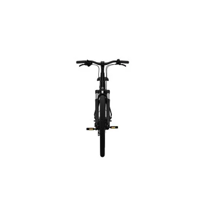 City E-Bike TENWAYS CGO800 PLUS