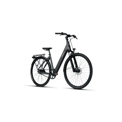 City E-Bike TENWAYS CGO800S