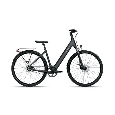 City E-Bike TENWAYS CGO800S