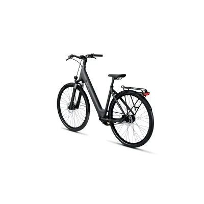 City E-Bike TENWAYS CGO800S