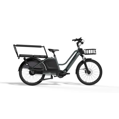 E-BIKE CARGO TENWAYS LONGTAIL DUO
