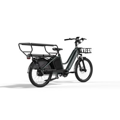 E-BIKE CARGO TENWAYS LONGTAIL DUO