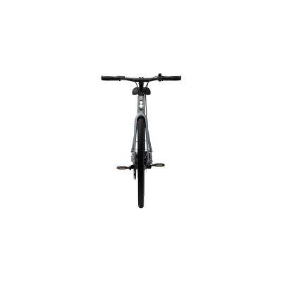 VÉLO ÉLECTRIQUE URBAIN TENWAYS CGO600 PRO
