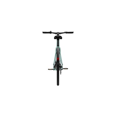 VÉLO ÉLECTRIQUE URBAIN TENWAYS CGO600 PRO