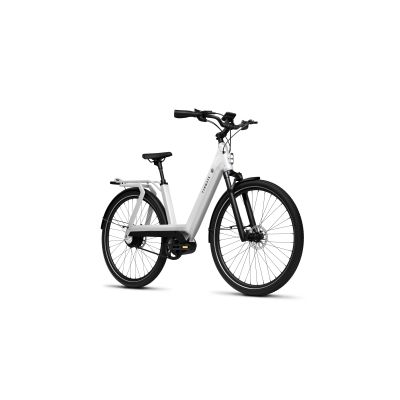 HYBRID E-BIKE TENWAYS AGO T