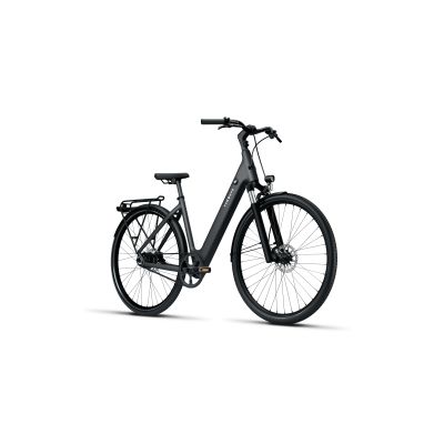 E-BIKE URBANA TENWAYS CGO800S