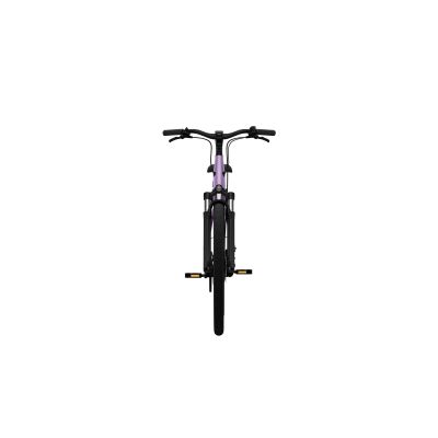 E-BIKE URBANA TENWAYS CGO800S