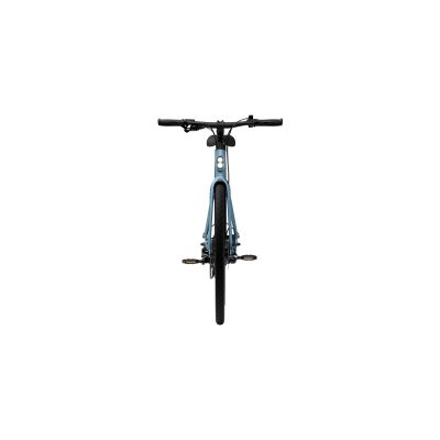 VÉLO ÉLECTRIQUE URBAIN TENWAYS CGO600 PLUS